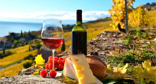 RUTA-VINO-Y-EL-QUESO